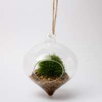 Hanging glass sphere with artificial succulents planter