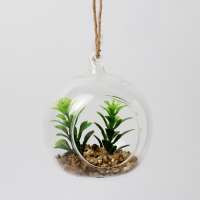 2019 new glass hanging planter