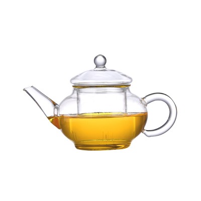 Good Glass Teapot with Stainless Steel Infuser & Lid, Borosilicate Glass Tea Pots Stovetop Safe