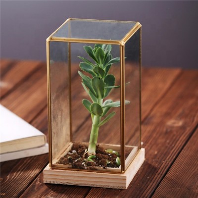 New design wholesale clear borosilicate glass  plant terrarium