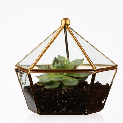 Moden Clear Air Plant Geometric irregular planter Glass Terrarium hot selling