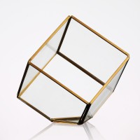 Transparent Glass Cube Box Glass Plant Modern Planter Stained Geometric Glass Terrarium