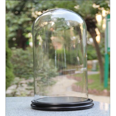 ODM/OEM Glass Dome Glass Cloche with MDF Base - D25cm * H40cm