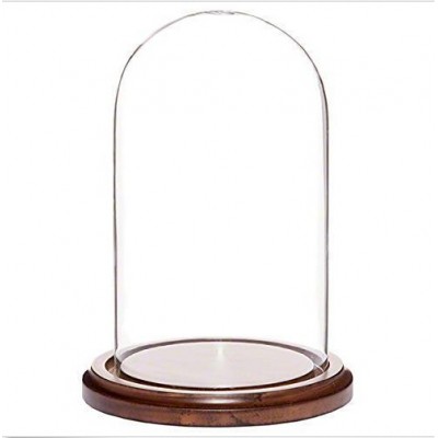 Customize Handblown High Quality Glass Display Dome With Walnut Base