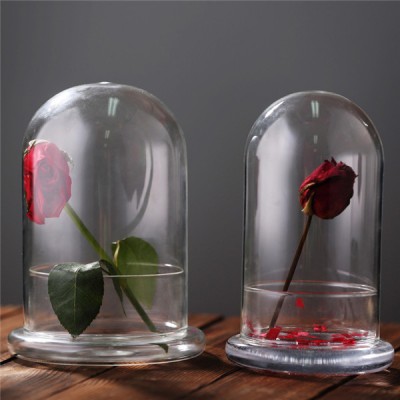 Factory supply flower glass vase borosilicate glass vase for home decoration