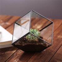 China direct -factory International Glass Terrarium geometric glass terrarium