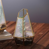 factory price glass with copper frame gold color glass terrarium geometric glass terrarium