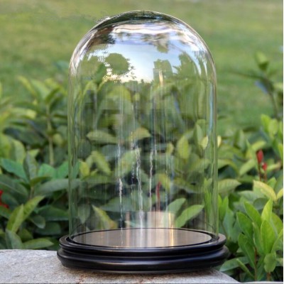 ODM/OEM Glass Bell Jar Cloche Display Dome - D22cm * H30cm