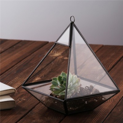 Custom-made Home Geometric Glass Terrarium with black metal frame for Succulent Plant