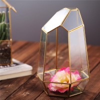 Copper planter holder case clear glass terrarium Glass Plant Terrarium