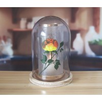 Handmade vintage Glass Dome With Wooden Base