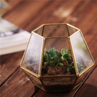 Modern Artistic Clear Glass Cube Box Glass Plant Terrarium geometric glass terrarium